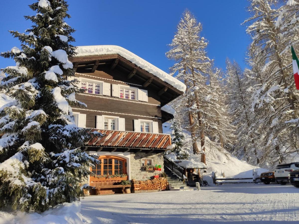 Apartament Cirmolo *